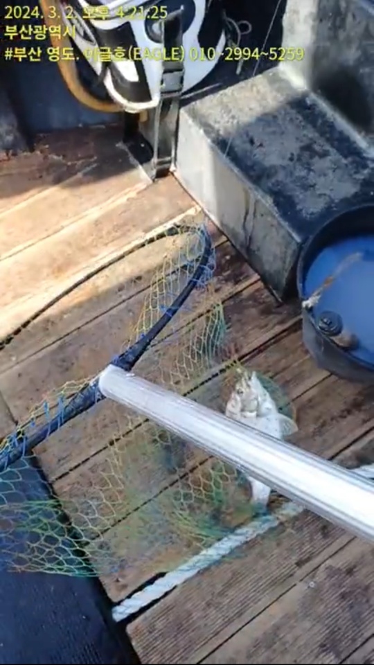 329a57997b9792ee746990352e6fa2e6_1709373727_8345.jpg 329a57997b9792ee746990352e6fa2e6_1709373727_8345.jpg