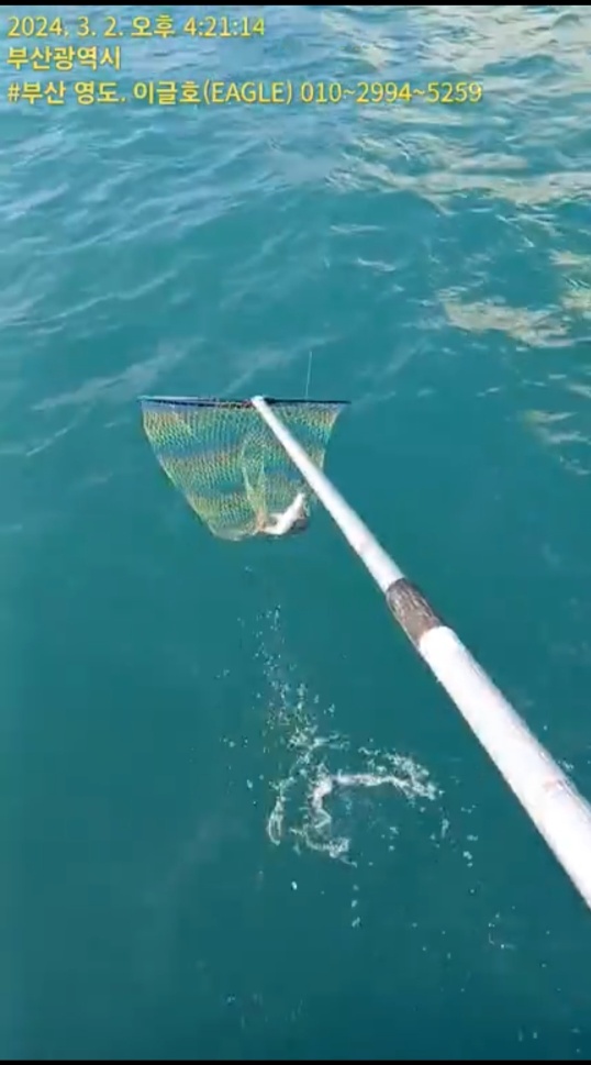 329a57997b9792ee746990352e6fa2e6_1709373728_8105.jpg 329a57997b9792ee746990352e6fa2e6_1709373728_8105.jpg