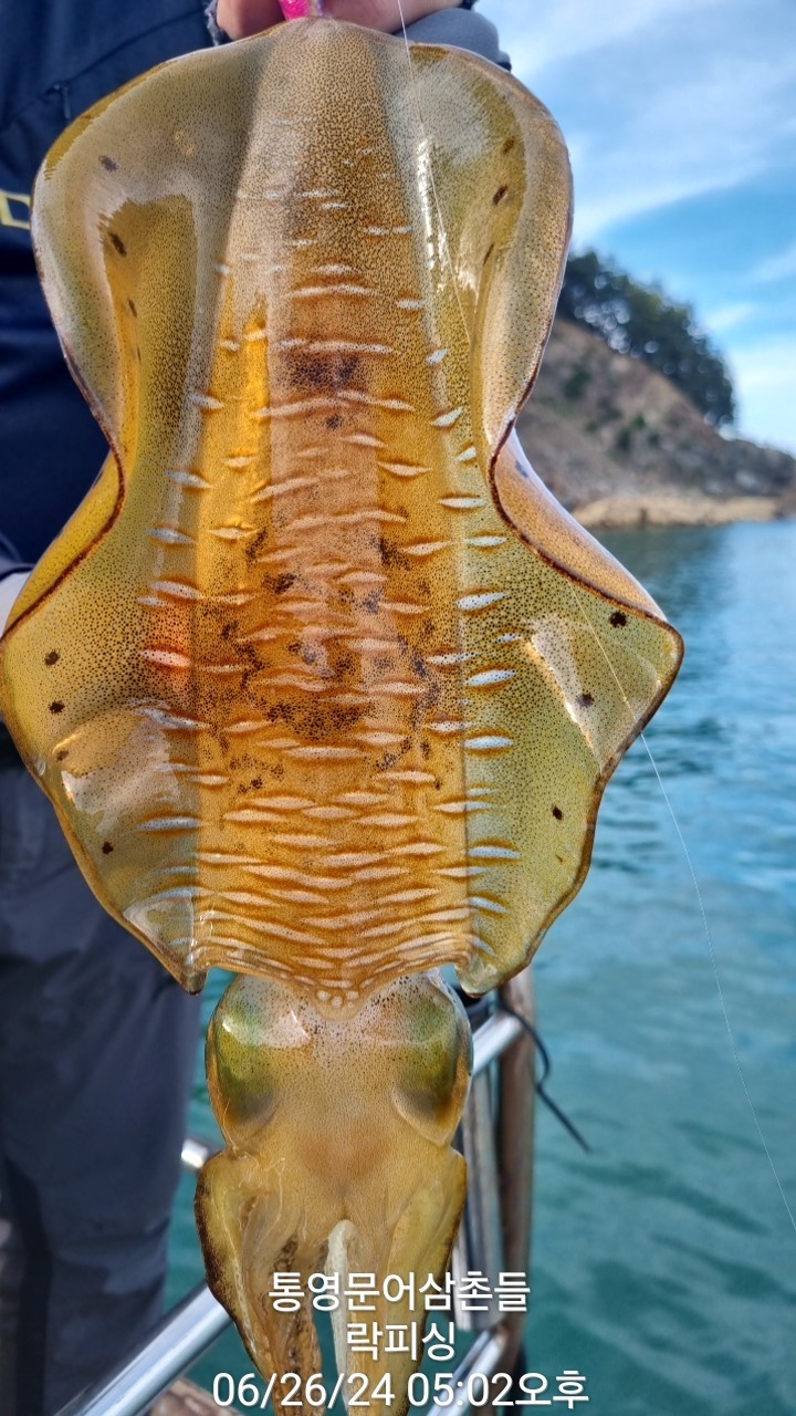 97fbf5d58dccebb13852e5686547445a_1719394010_1164.jpg 97fbf5d58dccebb13852e5686547445a_1719394010_1164.jpg