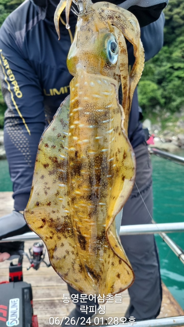 97fbf5d58dccebb13852e5686547445a_1719394010_7781.jpg 97fbf5d58dccebb13852e5686547445a_1719394010_7781.jpg