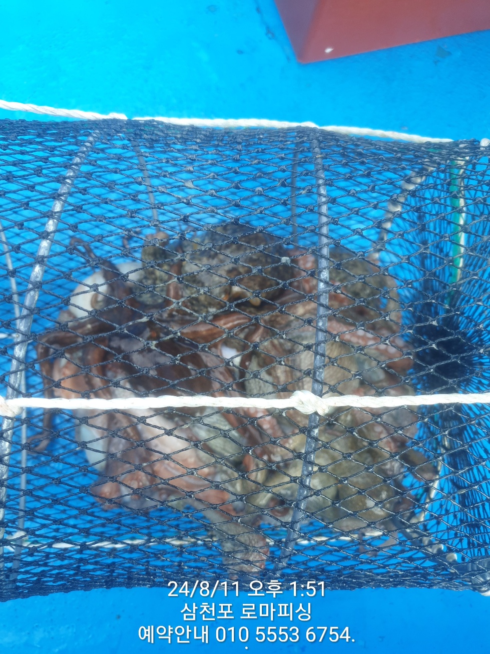 a493b7c2255cd56b74843506c4833fac_1723360077_8417.jpg a493b7c2255cd56b74843506c4833fac_1723360077_8417.jpg