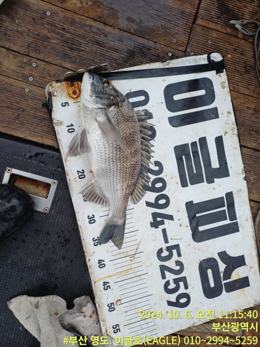 05e919ac225f2ca2f3ec5335eded0ef5_1728199735_482.jpg 05e919ac225f2ca2f3ec5335eded0ef5_1728199735_482.jpg