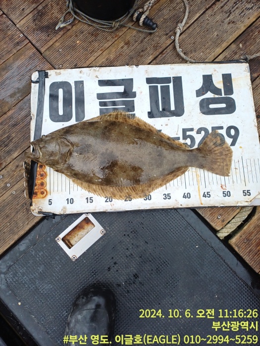 05e919ac225f2ca2f3ec5335eded0ef5_1728199735_7279.jpg 05e919ac225f2ca2f3ec5335eded0ef5_1728199735_7279.jpg