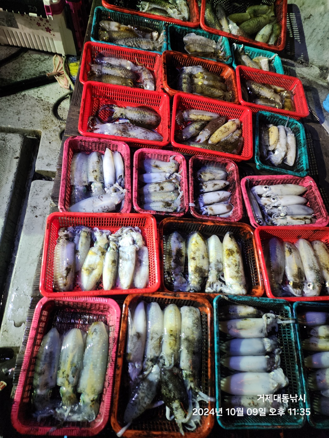 bd43e22b2d628d84e915ad502586b9f9_1728518567_5255.jpg bd43e22b2d628d84e915ad502586b9f9_1728518567_5255.jpg