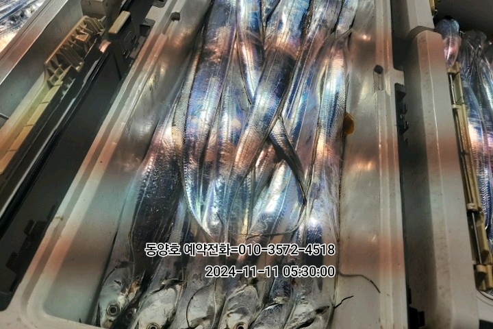 8ca3030fb2f6c30723a5319a8712bf9b_1731285668_8652.jpg 8ca3030fb2f6c30723a5319a8712bf9b_1731285668_8652.jpg