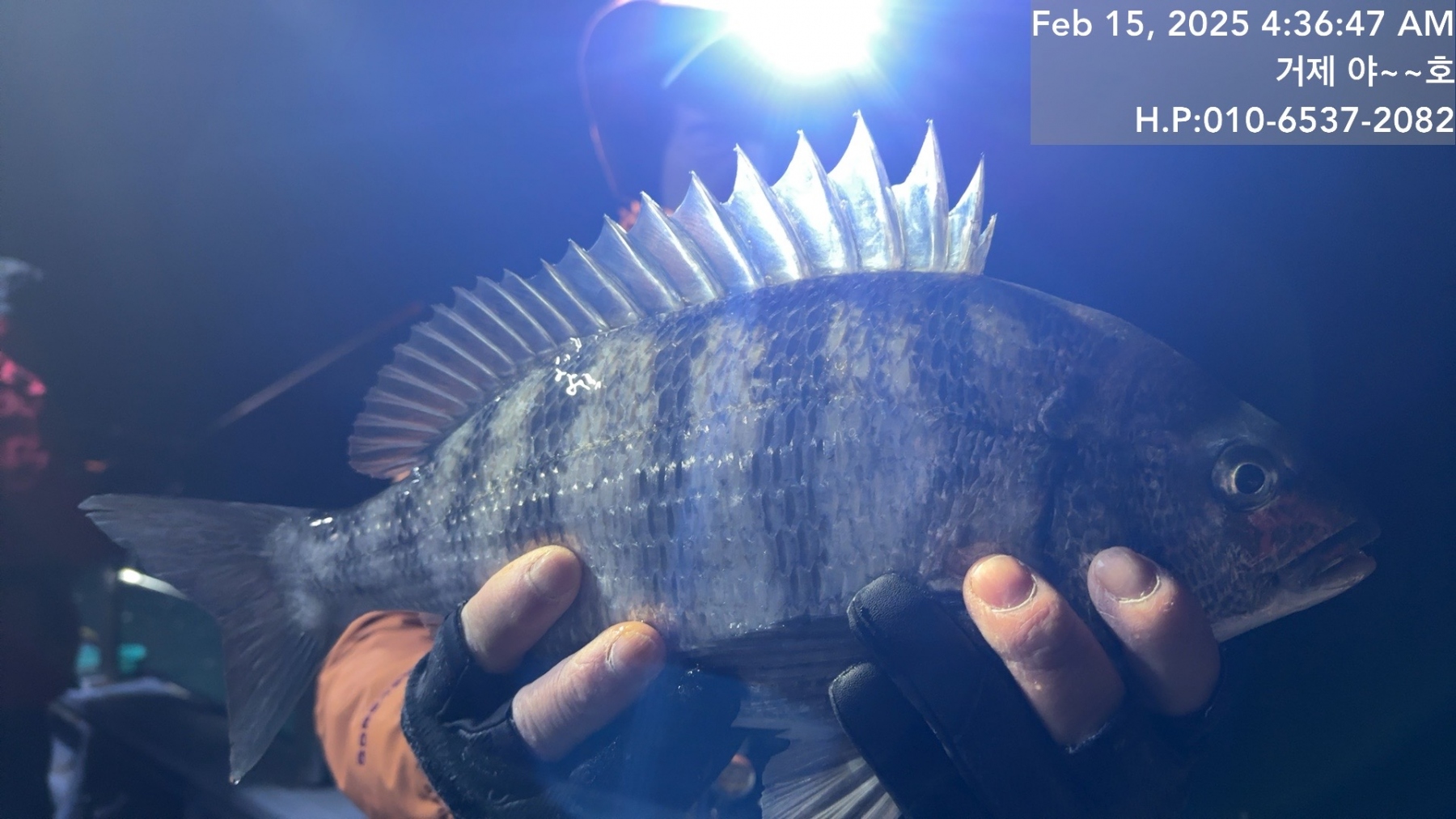 7b4b735d5a38b5a24d4bc14fd9733b20_1739579804_2001.jpg 7b4b735d5a38b5a24d4bc14fd9733b20_1739579804_2001.jpg