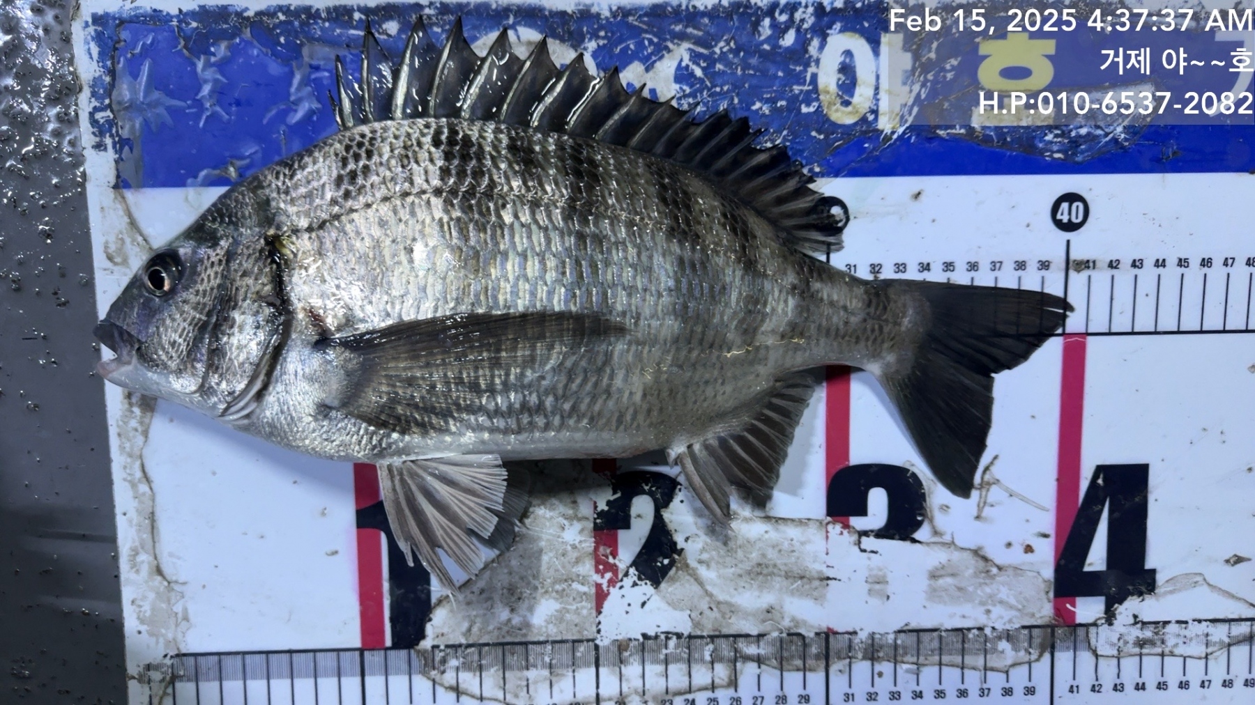 7b4b735d5a38b5a24d4bc14fd9733b20_1739579804_9686.jpg 7b4b735d5a38b5a24d4bc14fd9733b20_1739579804_9686.jpg