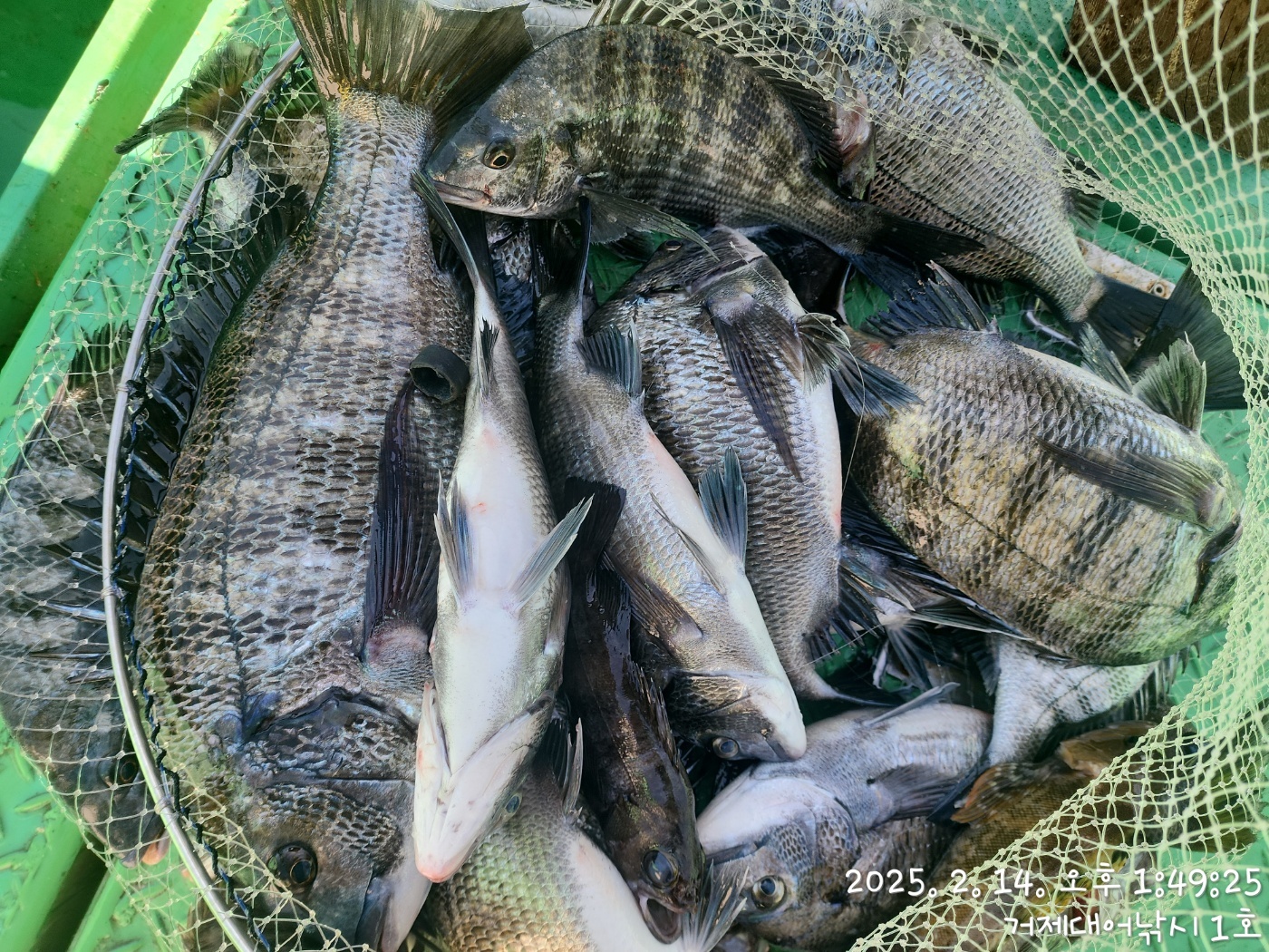 c7d3cdc9b2b228756bbea88f4dad77e3_1739521673_6504.jpg c7d3cdc9b2b228756bbea88f4dad77e3_1739521673_6504.jpg