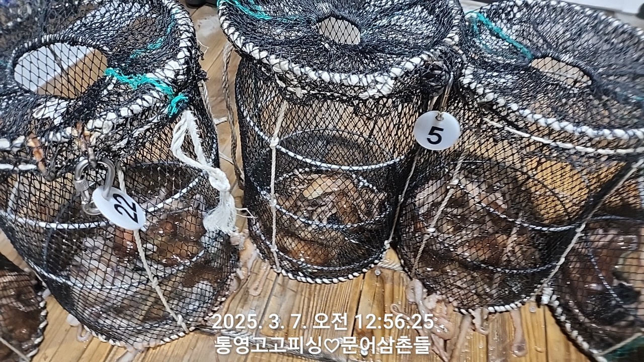 7ebbfa35ebb86b0ad502b6762e9f16a6_1741307888_1228.jpg 7ebbfa35ebb86b0ad502b6762e9f16a6_1741307888_1228.jpg