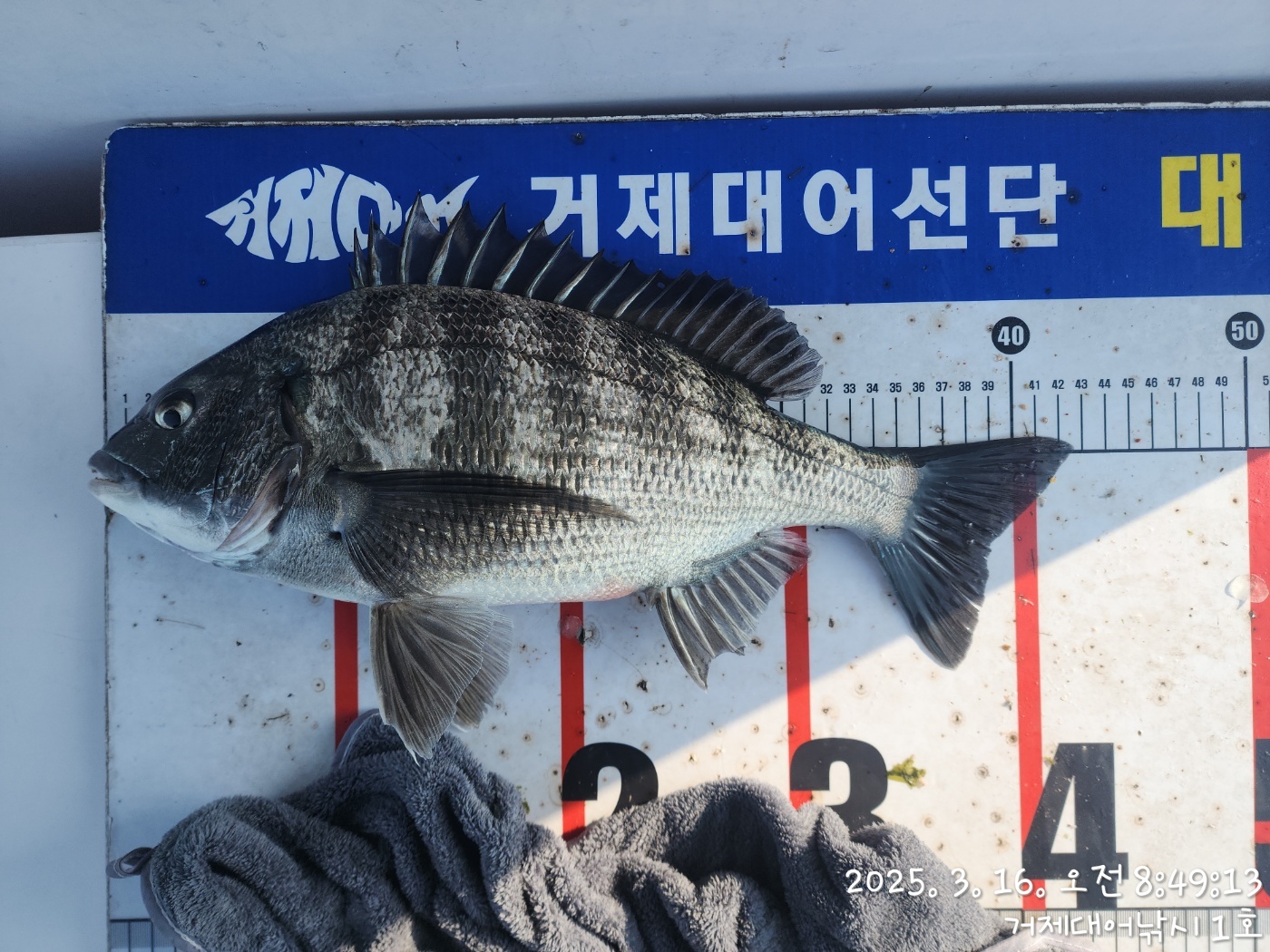 9b7c04ffb8e62f5dddf2922d2971f1ad_1742087982_8646.jpg 9b7c04ffb8e62f5dddf2922d2971f1ad_1742087982_8646.jpg