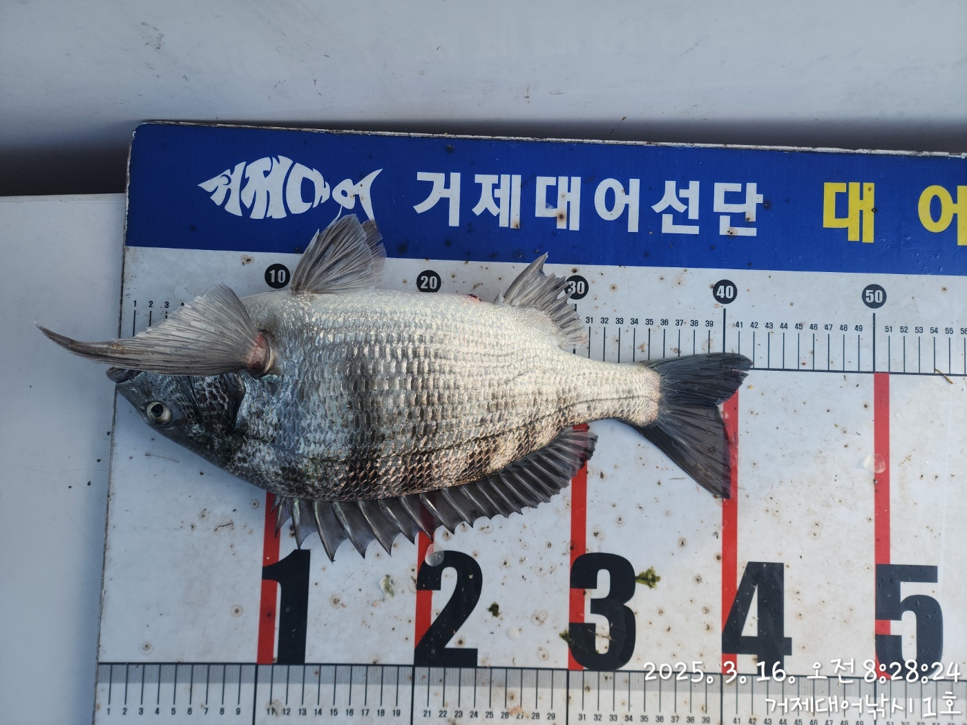 9b7c04ffb8e62f5dddf2922d2971f1ad_1742087983_1112.jpg 9b7c04ffb8e62f5dddf2922d2971f1ad_1742087983_1112.jpg