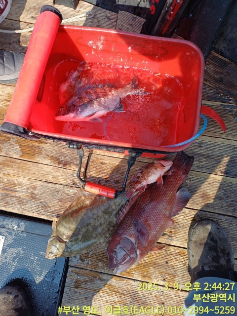 b52d3636f8124153dfaba0c22bfef37c_1741561828_0133.jpg b52d3636f8124153dfaba0c22bfef37c_1741561828_0133.jpg