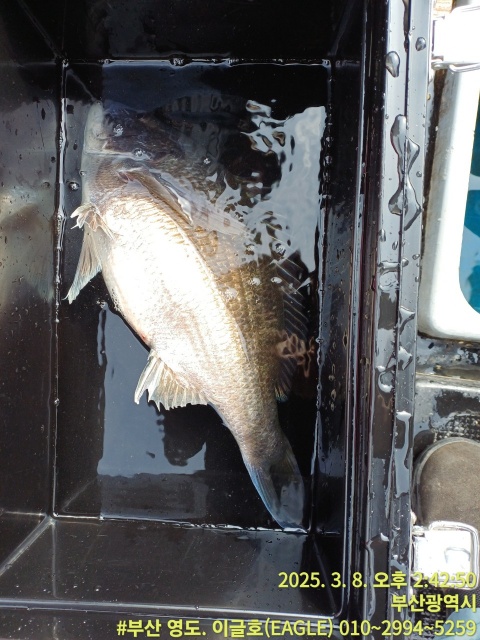 b52d3636f8124153dfaba0c22bfef37c_1741561828_6087.jpg b52d3636f8124153dfaba0c22bfef37c_1741561828_6087.jpg