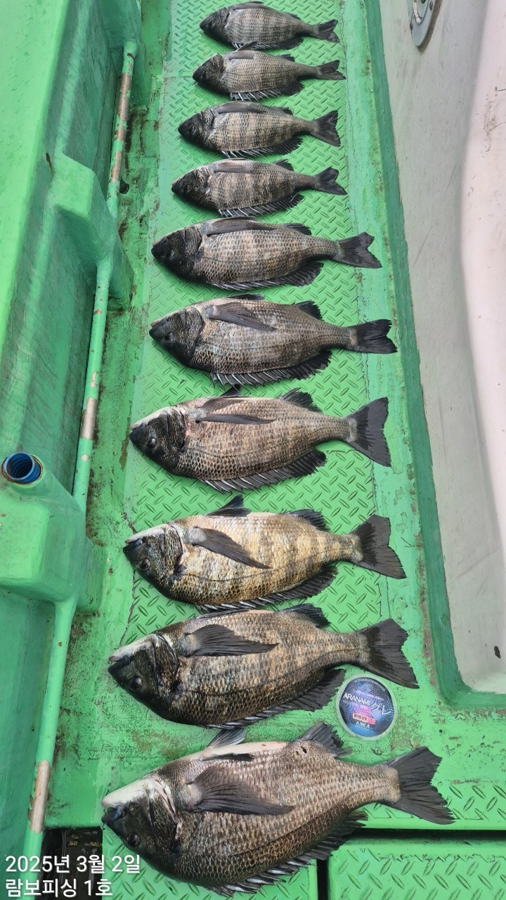 b747777233ce2eee5f284ca5bff91e72_1740899015_2445.jpg b747777233ce2eee5f284ca5bff91e72_1740899015_2445.jpg