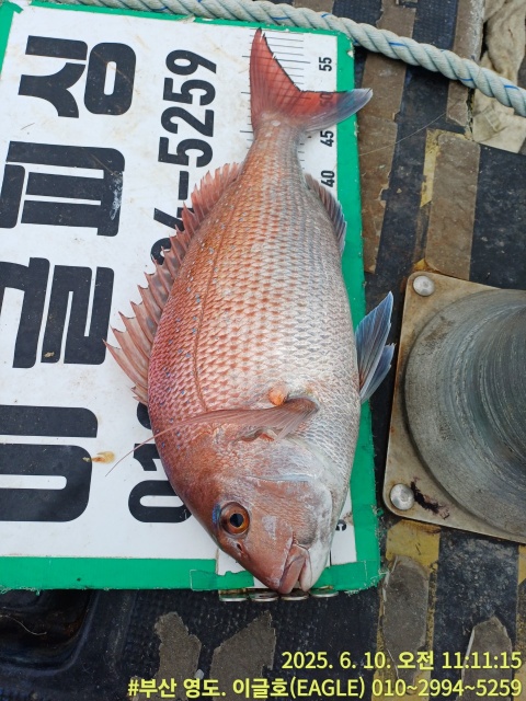 683c342f4e4d90caa4dddddeb922c9a6_1749532279_3819.jpg 683c342f4e4d90caa4dddddeb922c9a6_1749532279_3819.jpg