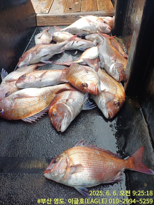 683c342f4e4d90caa4dddddeb922c9a6_1749532280_0321.jpg 683c342f4e4d90caa4dddddeb922c9a6_1749532280_0321.jpg