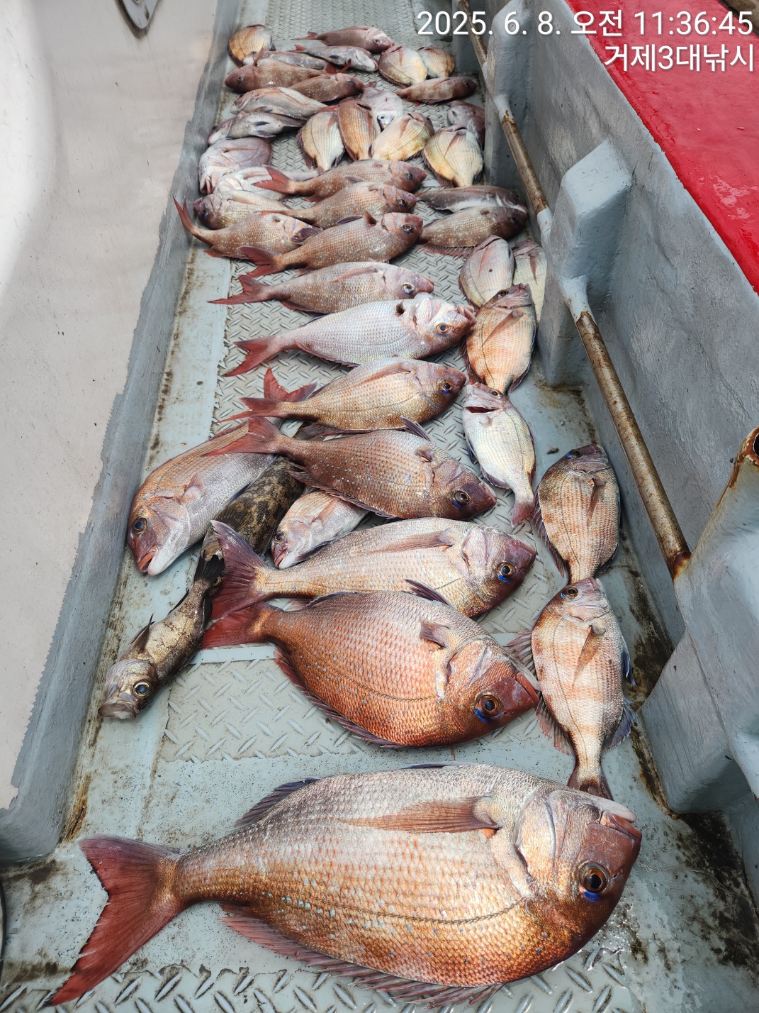 b9b9c6e9b2b3dd1193e846cf06946c7c_1749361679_9232.jpg b9b9c6e9b2b3dd1193e846cf06946c7c_1749361679_9232.jpg