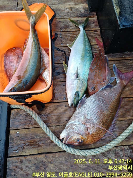 debad147d27ca16d518d6121f1edd41c_1749638103_4622.jpg debad147d27ca16d518d6121f1edd41c_1749638103_4622.jpg