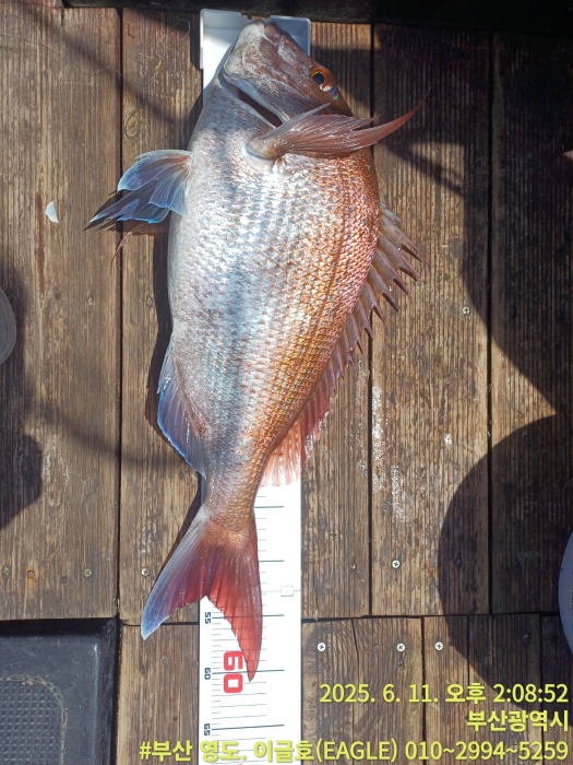 debad147d27ca16d518d6121f1edd41c_1749638103_7792.jpg debad147d27ca16d518d6121f1edd41c_1749638103_7792.jpg