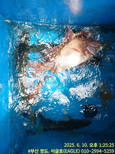 debad147d27ca16d518d6121f1edd41c_1749638104_7471.jpg debad147d27ca16d518d6121f1edd41c_1749638104_7471.jpg