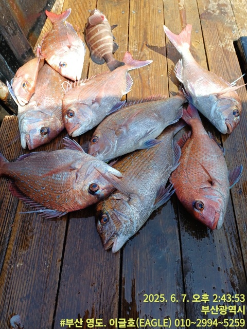 debad147d27ca16d518d6121f1edd41c_1749638105_0569.jpg debad147d27ca16d518d6121f1edd41c_1749638105_0569.jpg