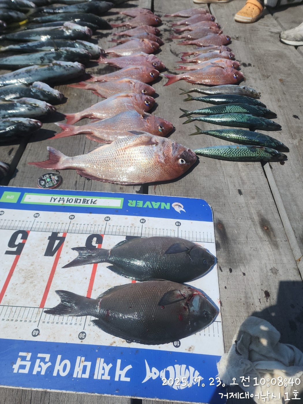 0899842768ae83cecf79d9d477c25c36_1753249492_412.jpg 0899842768ae83cecf79d9d477c25c36_1753249492_412.jpg