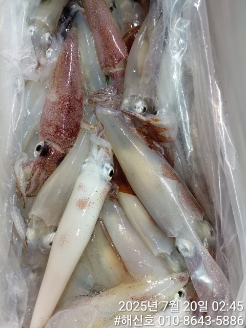 7ed5055302e4311ea13f053303d6db83_1752970504_8699.jpg 7ed5055302e4311ea13f053303d6db83_1752970504_8699.jpg