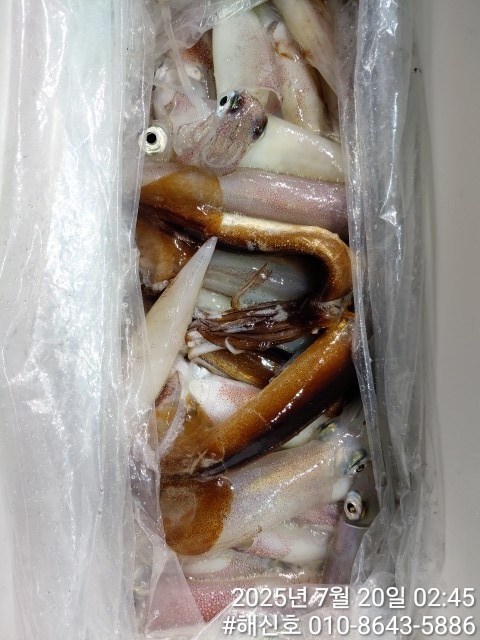 7ed5055302e4311ea13f053303d6db83_1752970505_0334.jpg 7ed5055302e4311ea13f053303d6db83_1752970505_0334.jpg