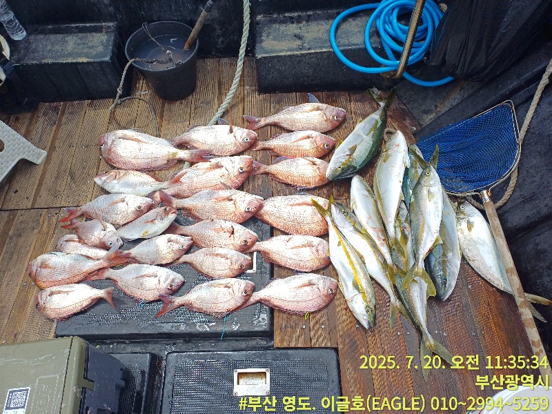 93d771c6d17125f4b385ff3b76ef98b8_1753048267_9216.jpg 93d771c6d17125f4b385ff3b76ef98b8_1753048267_9216.jpg