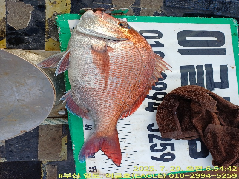 93d771c6d17125f4b385ff3b76ef98b8_1753048268_3414.jpg 93d771c6d17125f4b385ff3b76ef98b8_1753048268_3414.jpg