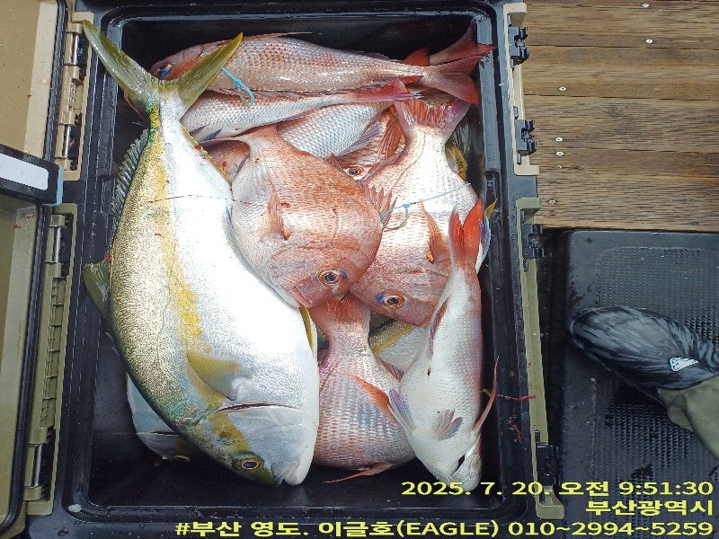 93d771c6d17125f4b385ff3b76ef98b8_1753048268_6356.jpg 93d771c6d17125f4b385ff3b76ef98b8_1753048268_6356.jpg