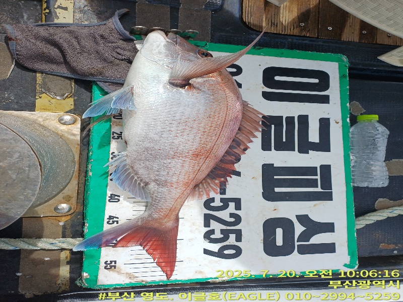 93d771c6d17125f4b385ff3b76ef98b8_1753048268_8649.jpg 93d771c6d17125f4b385ff3b76ef98b8_1753048268_8649.jpg