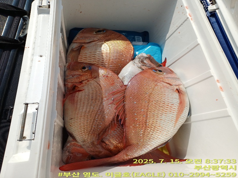 93d771c6d17125f4b385ff3b76ef98b8_1753048269_5813.jpg 93d771c6d17125f4b385ff3b76ef98b8_1753048269_5813.jpg