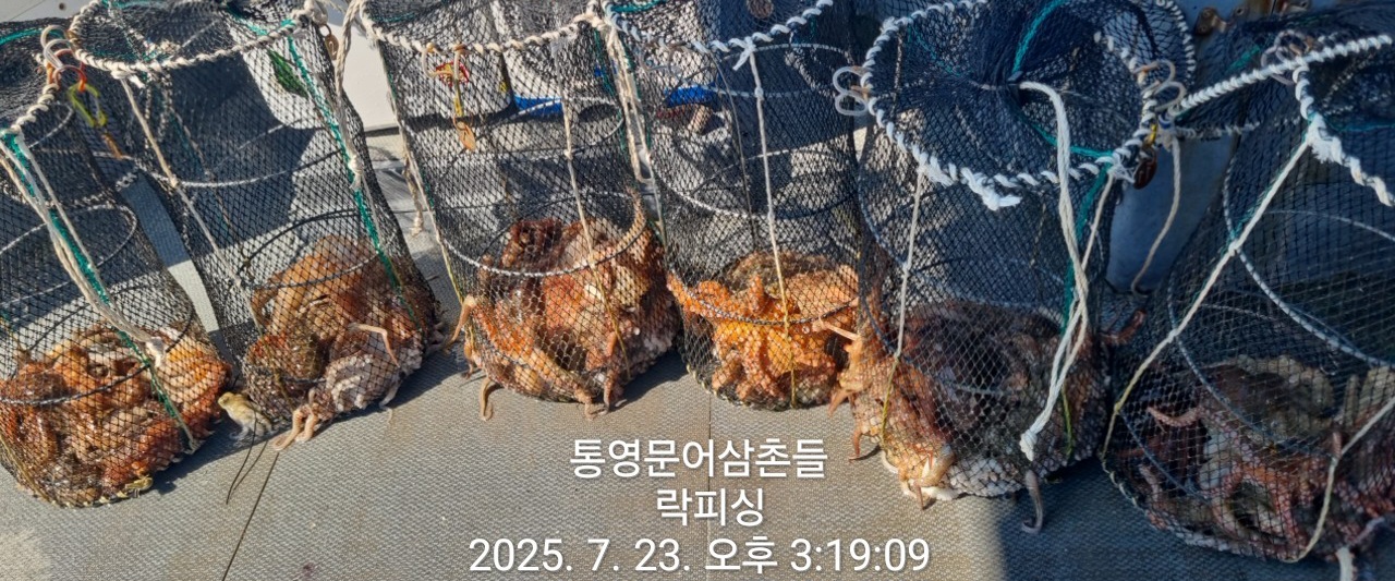 d16e3cfbcb985eea4e43b7242a69d592_1753254291_6565.jpg d16e3cfbcb985eea4e43b7242a69d592_1753254291_6565.jpg