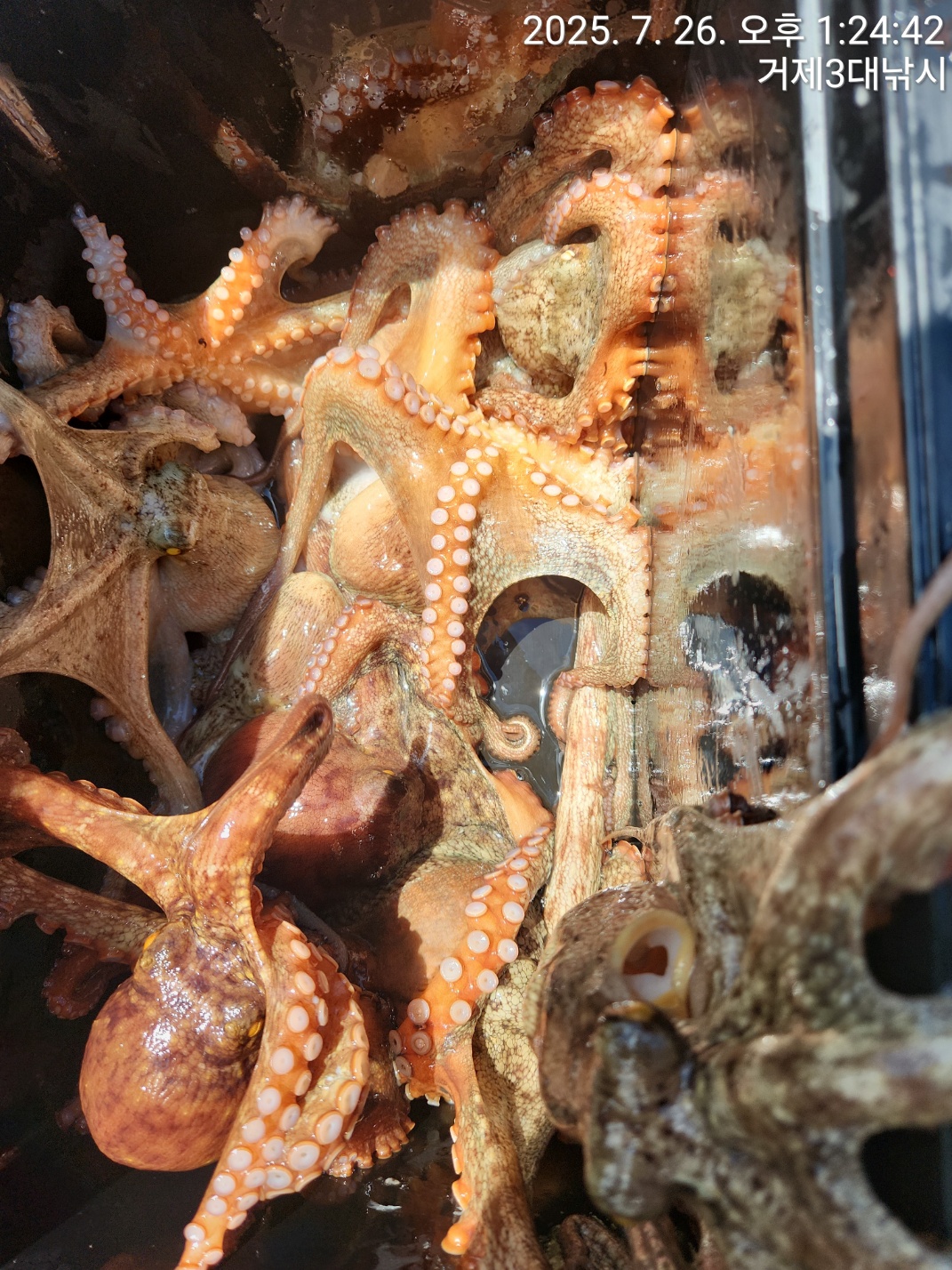 fdf43d516ff9b1ccb965b78e2b1e424c_1753510692_6525.jpg fdf43d516ff9b1ccb965b78e2b1e424c_1753510692_6525.jpg