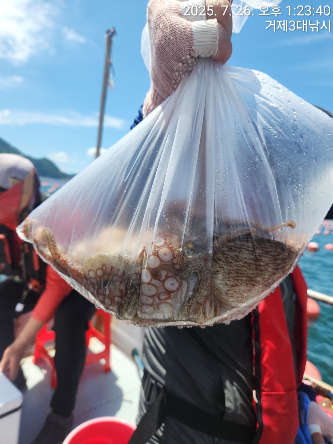 fdf43d516ff9b1ccb965b78e2b1e424c_1753510692_9122.jpg fdf43d516ff9b1ccb965b78e2b1e424c_1753510692_9122.jpg