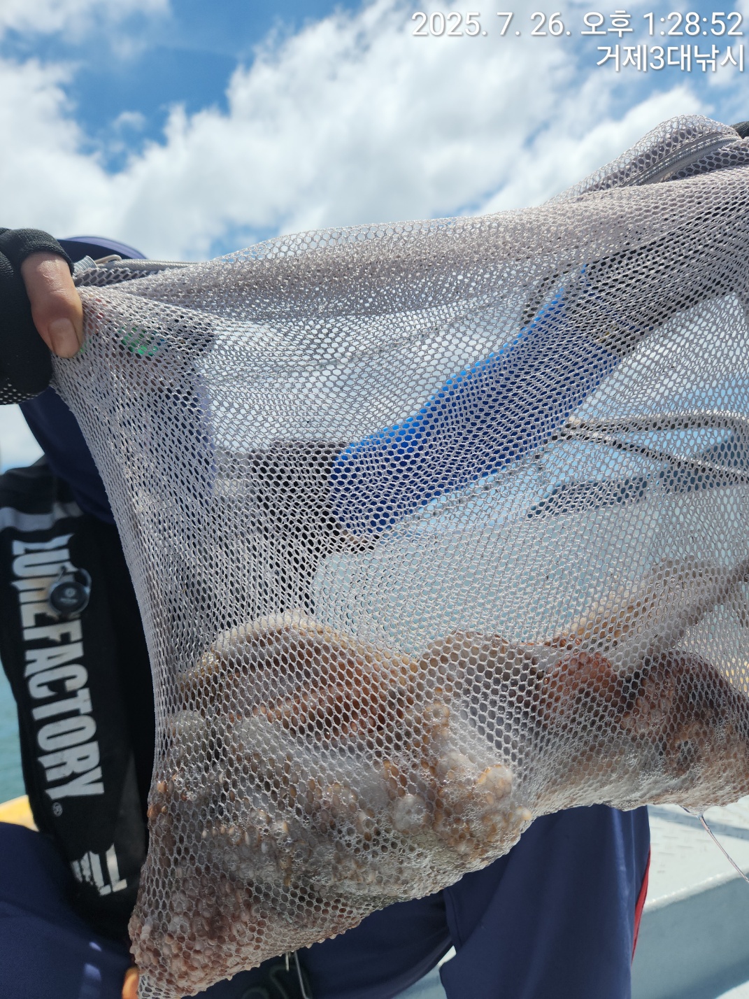 fdf43d516ff9b1ccb965b78e2b1e424c_1753510693_4594.jpg fdf43d516ff9b1ccb965b78e2b1e424c_1753510693_4594.jpg