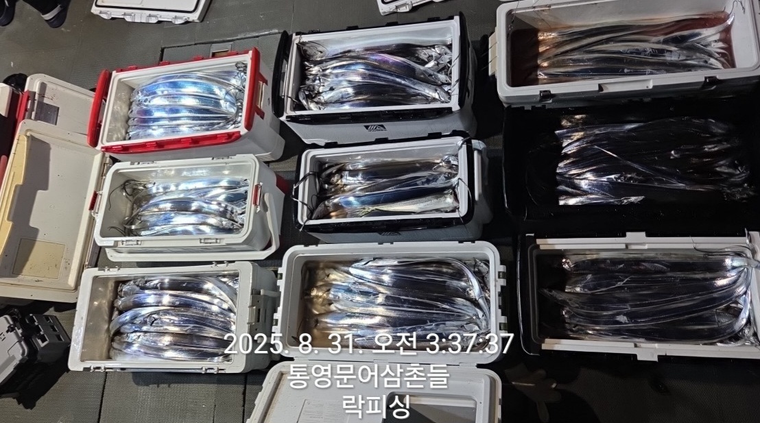 23ea90669fe7511e69b56fba4976c5b0_1756597228_9224.jpg 23ea90669fe7511e69b56fba4976c5b0_1756597228_9224.jpg