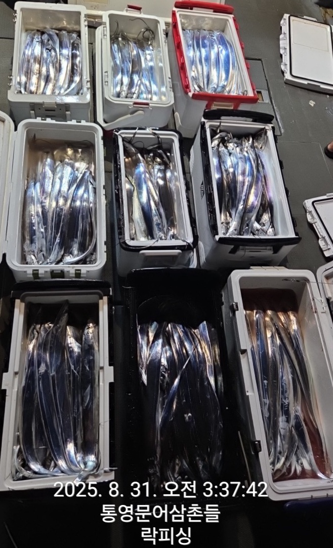 23ea90669fe7511e69b56fba4976c5b0_1756597229_1119.jpg 23ea90669fe7511e69b56fba4976c5b0_1756597229_1119.jpg