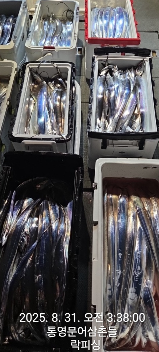 23ea90669fe7511e69b56fba4976c5b0_1756597229_3052.jpg 23ea90669fe7511e69b56fba4976c5b0_1756597229_3052.jpg