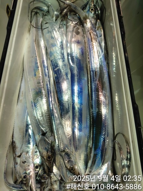 89f34f4d5a2729f344cd194abad90f3d_1756943608_6111.jpg 89f34f4d5a2729f344cd194abad90f3d_1756943608_6111.jpg