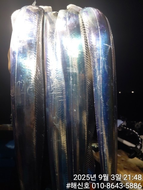 89f34f4d5a2729f344cd194abad90f3d_1756943611_8139.jpg 89f34f4d5a2729f344cd194abad90f3d_1756943611_8139.jpg