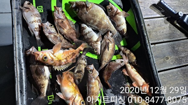 kakaotalk_20201229_015935342.jpg