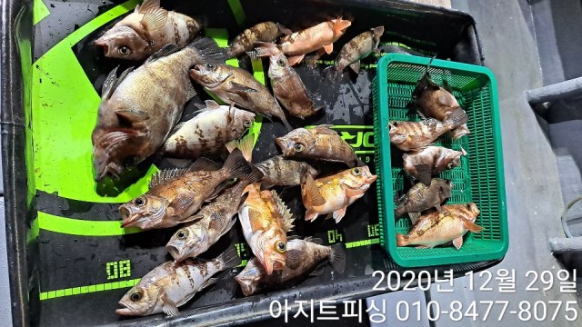 kakaotalk_20201229_015936610.jpg
